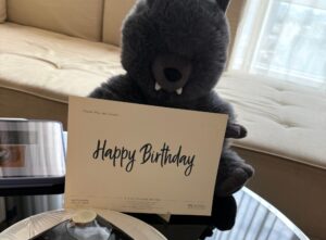 Read more about the article Cancer Diaries: Turning 47 and finding grace